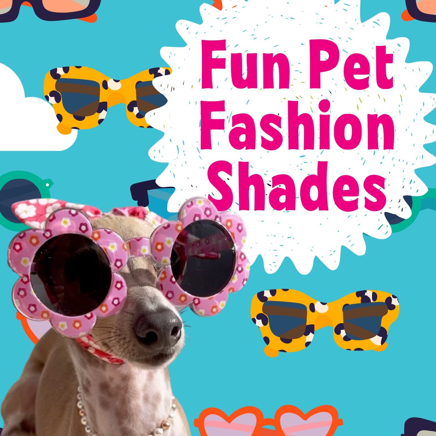 Pet Fashion Shades