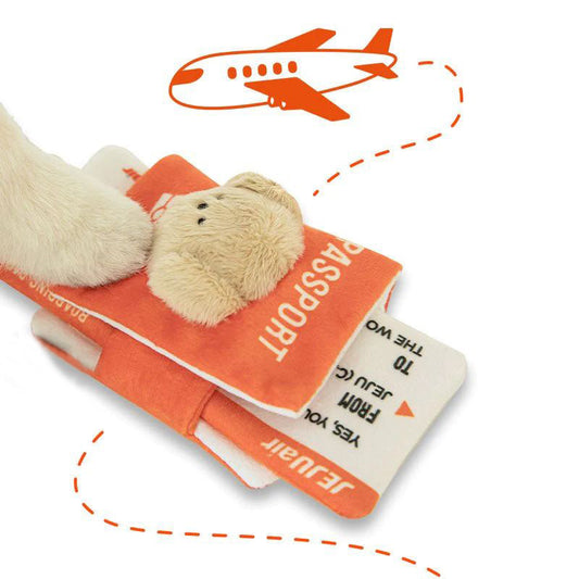 Passport & Boardingpass Squeaky Dog Toy set