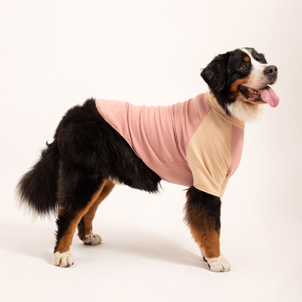 G’Day Turtleneck Shirt | Beige/Pink