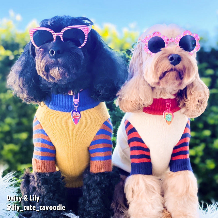Fun Pet Clothing