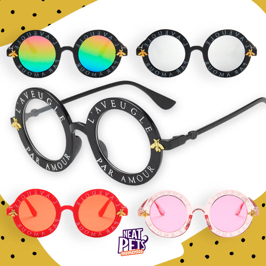 BEEautiful You Shades | Pet Sunglasses