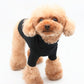 Cotton TurtleNeck Top | Four Colours Options