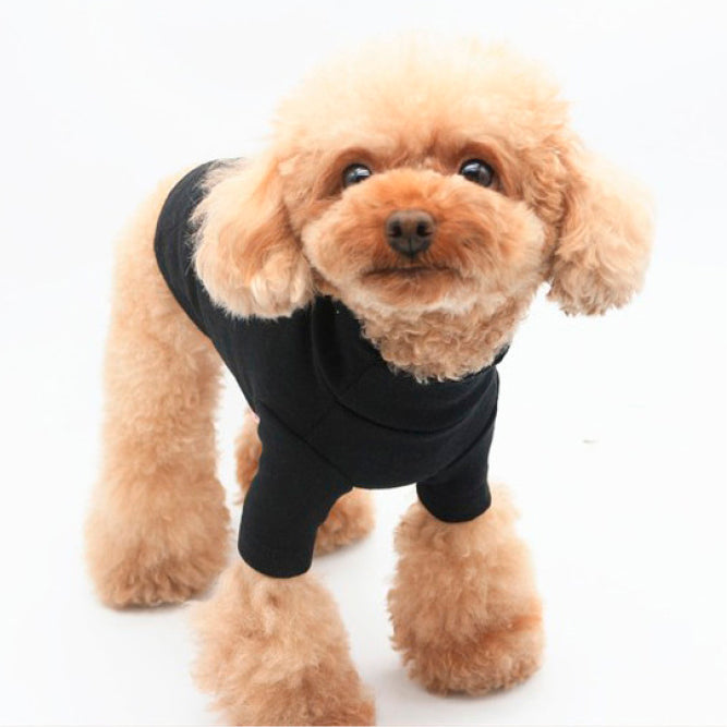 Cotton TurtleNeck Top | Four Colours Options