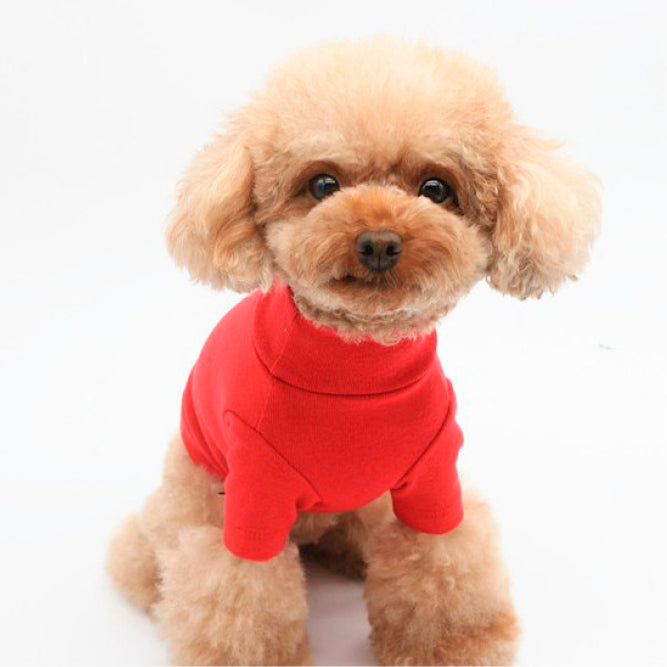 Cotton TurtleNeck Top | Four Colours Options