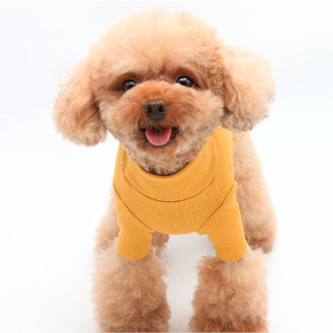 Cotton TurtleNeck Top | Four Colours Options