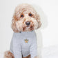 Cotton TurtleNeck Top | Four Colours Options