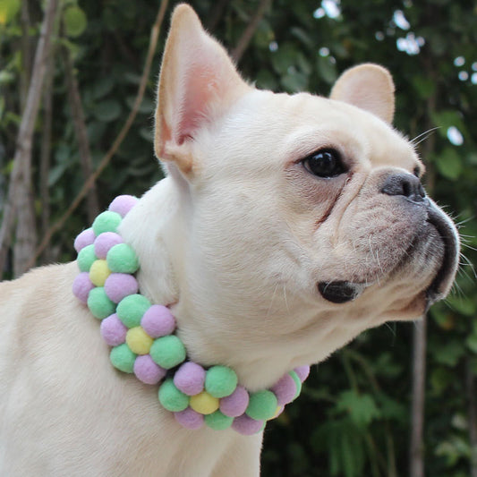 Flower Power Collar | 4 Colourways