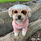Retro G'Day Shades | Four Colour-ways