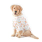 Rainbow Sky Tee | Small & Big Dogs