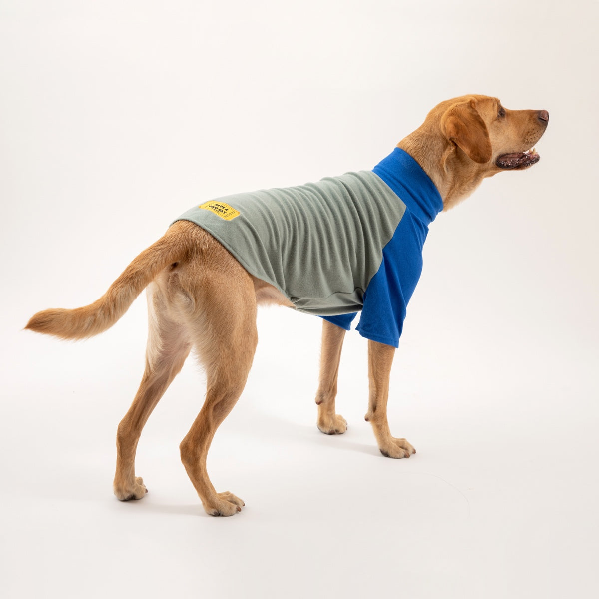 G’Day Turtleneck Shirt | Blue/Green