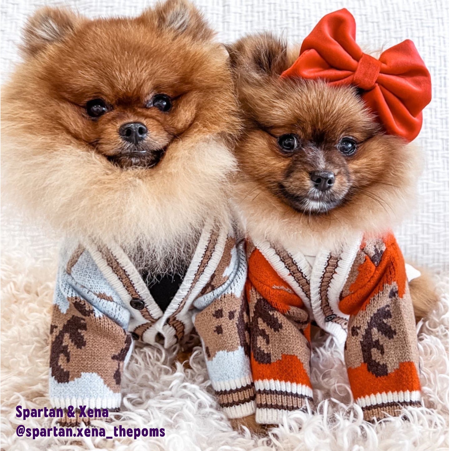 Teddy Bears Cardigan | Two Colour-ways