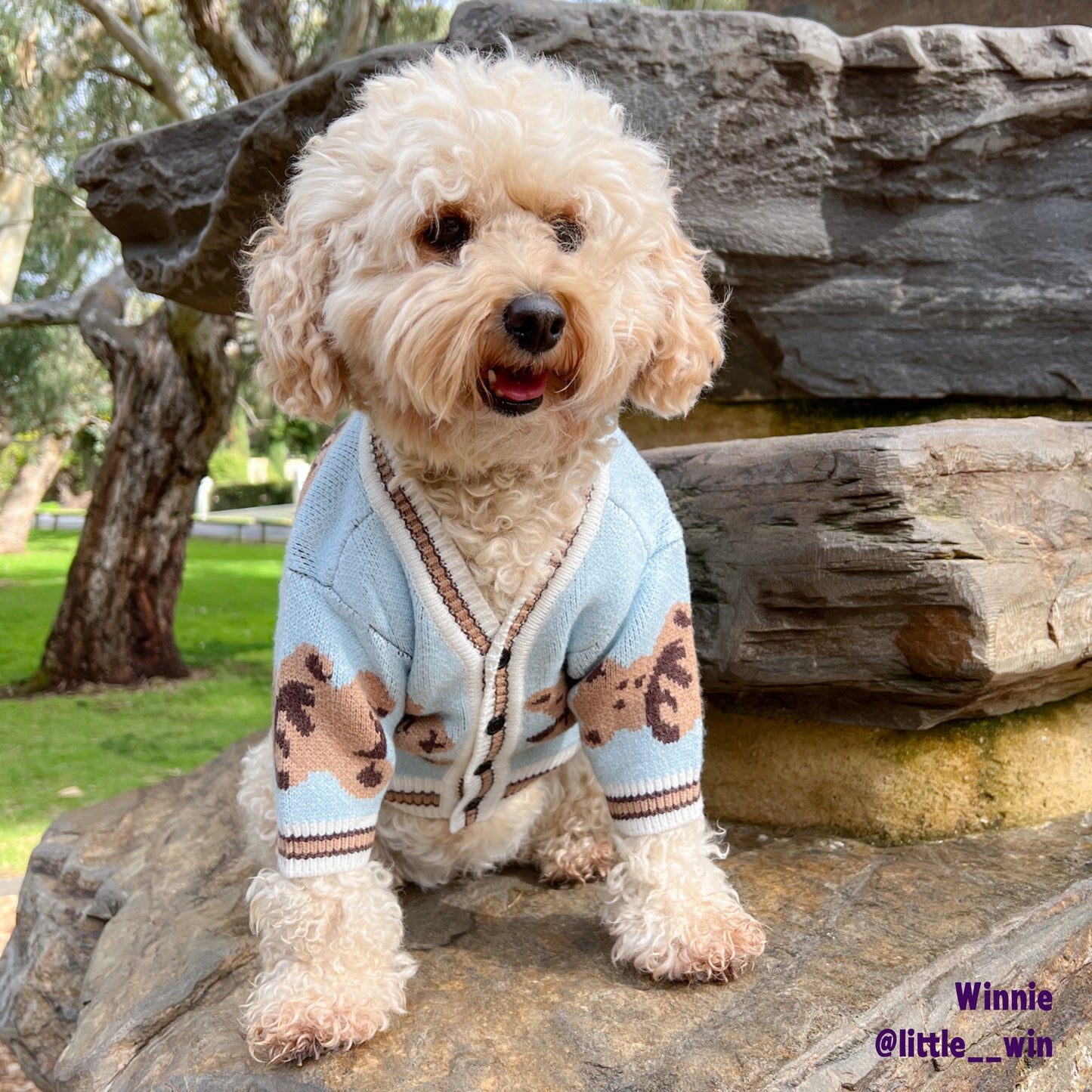 Teddy Bears Cardigan | Two Colour-ways