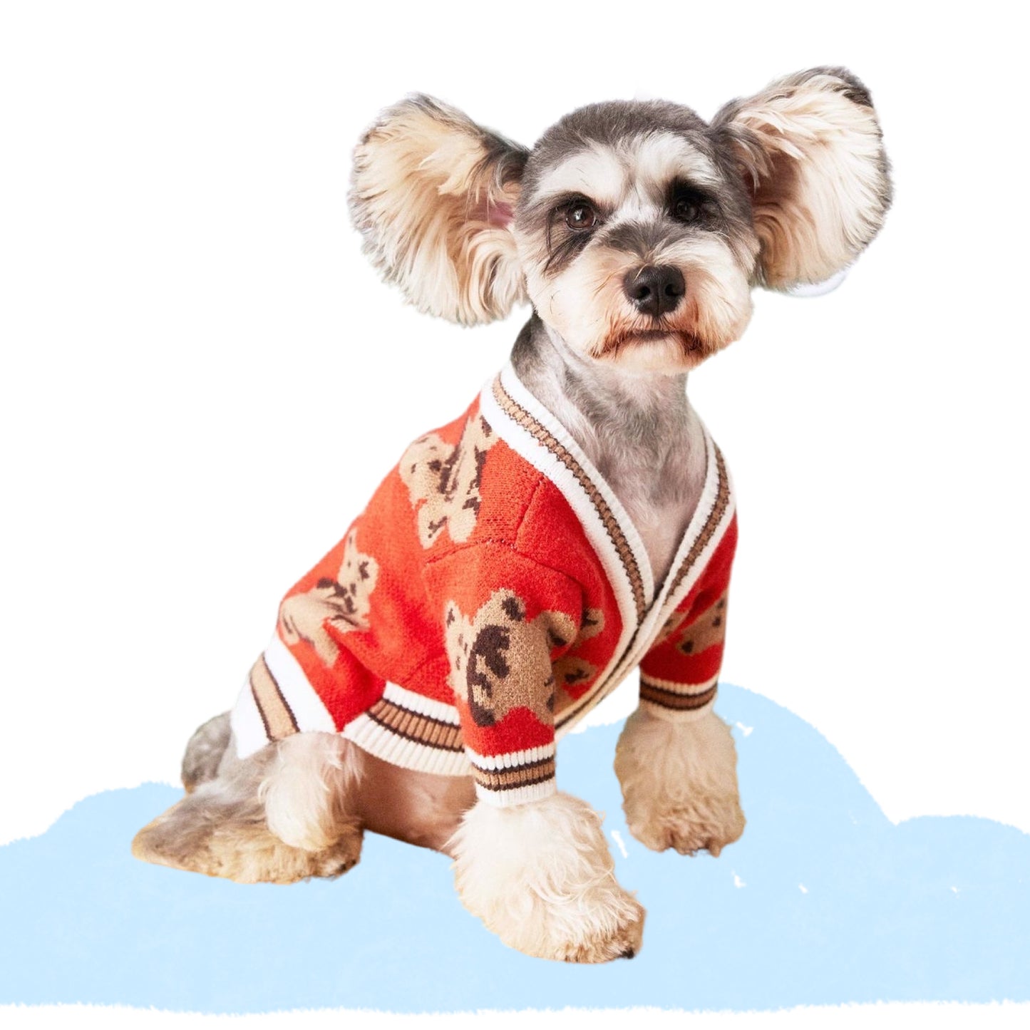Teddy Bears Cardigan | Two Colour-ways