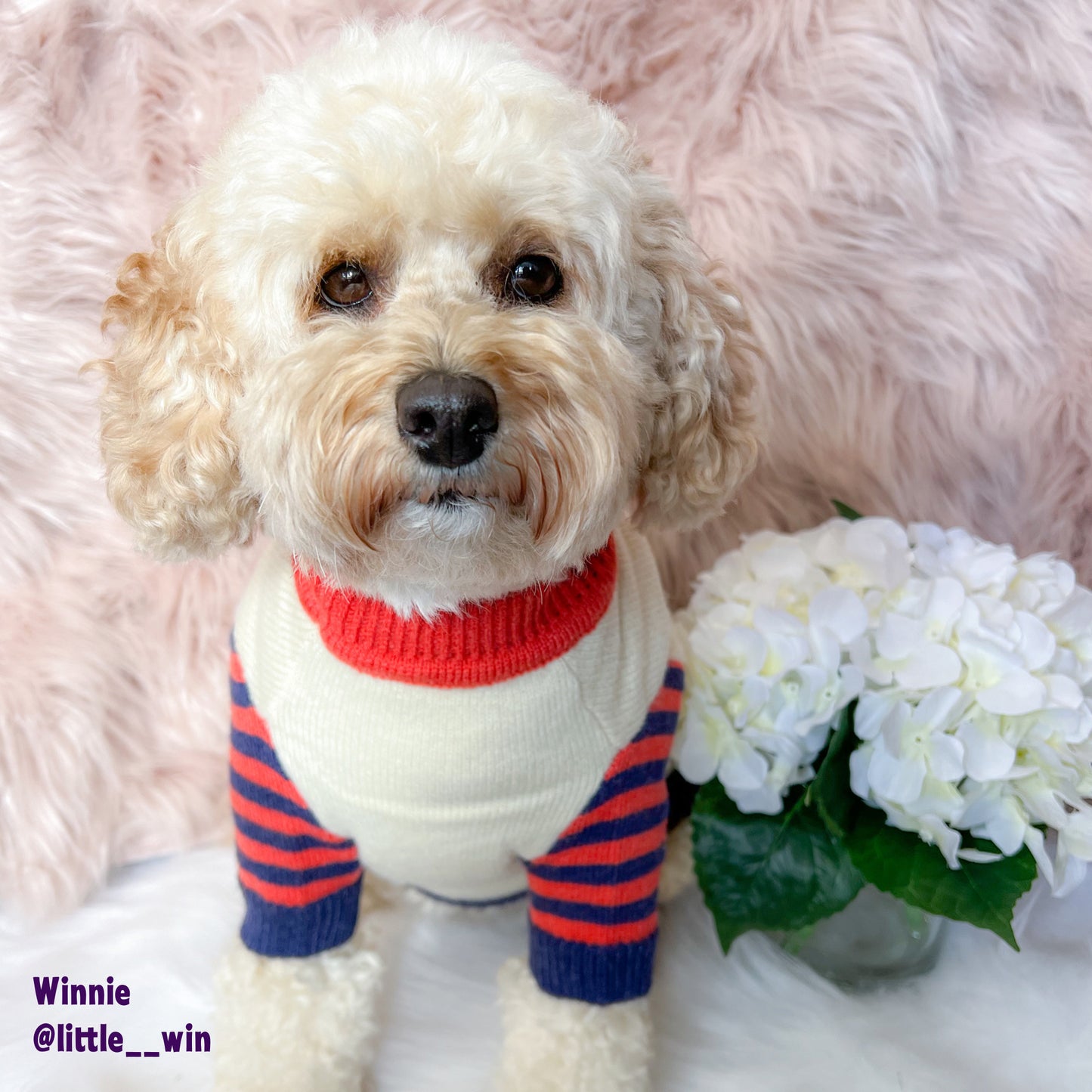 Latte Knit Sweater | Two Colour-ways