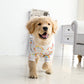 Rainbow Sky Tee | Small & Big Dogs