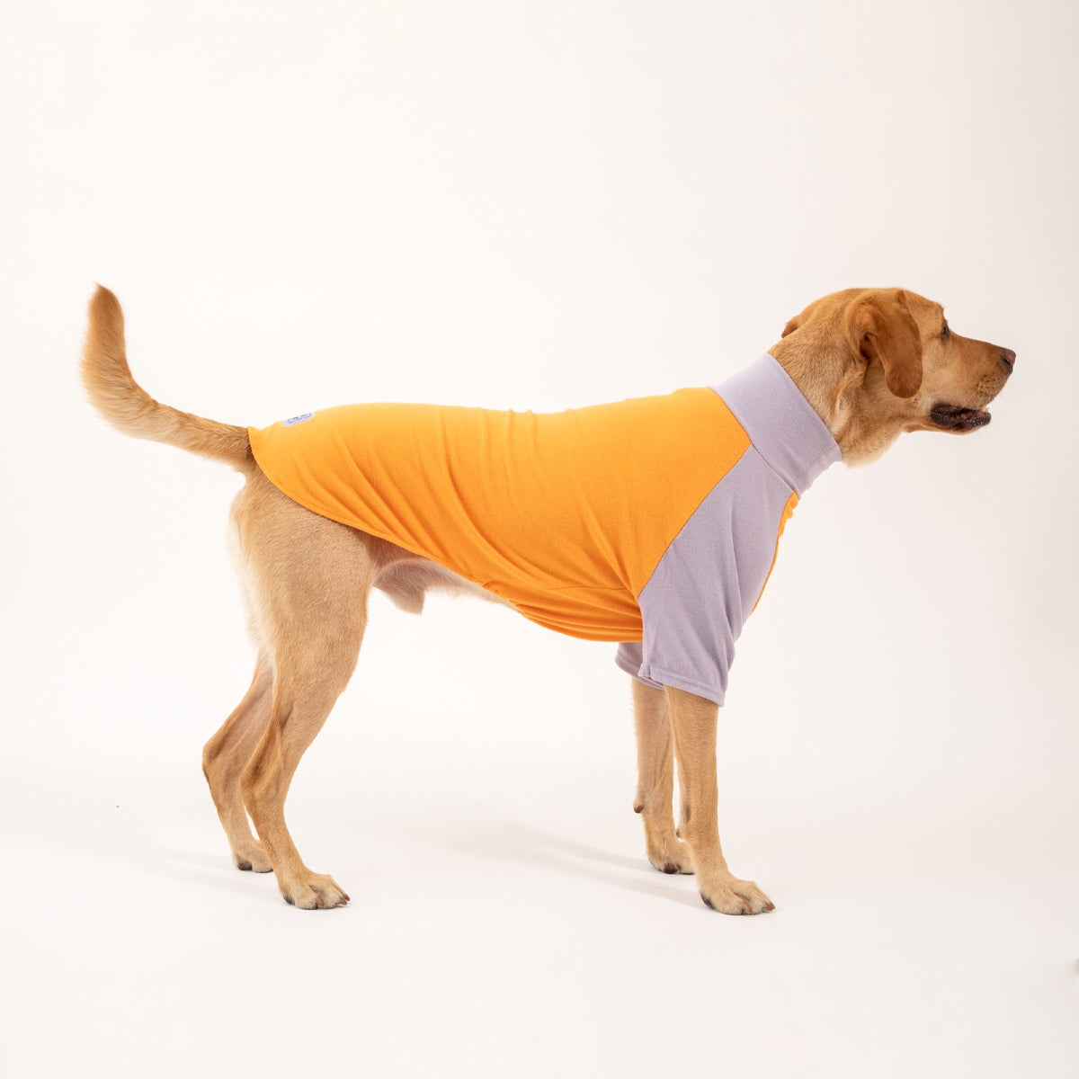 G’Day Turtleneck Shirt | Lilac/Orange