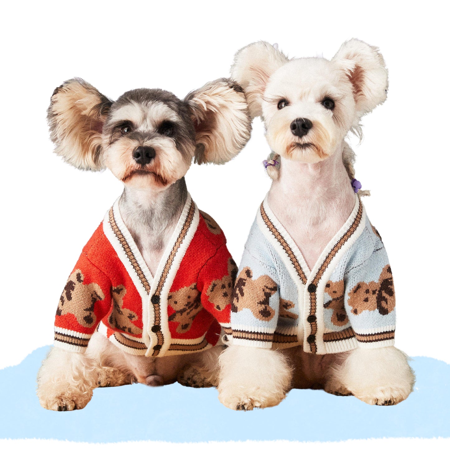 Teddy Bears Cardigan | Two Colour-ways