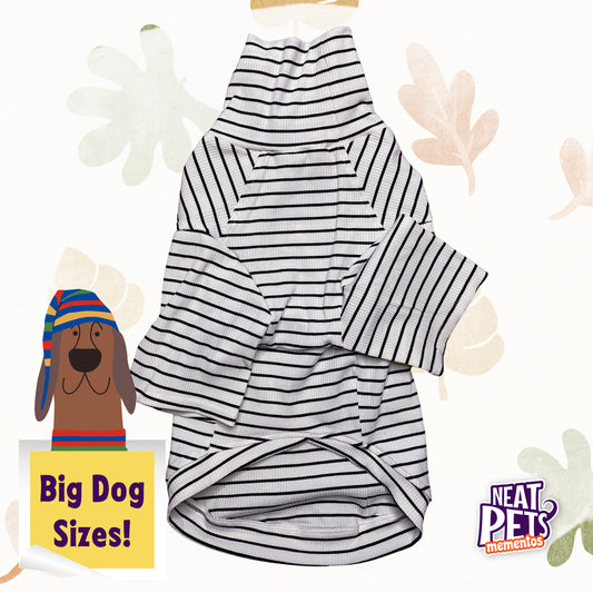BIG DOG Cotton Turtleneck Top | Stripes