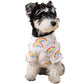 Rainbow Sky Tee | Small & Big Dogs