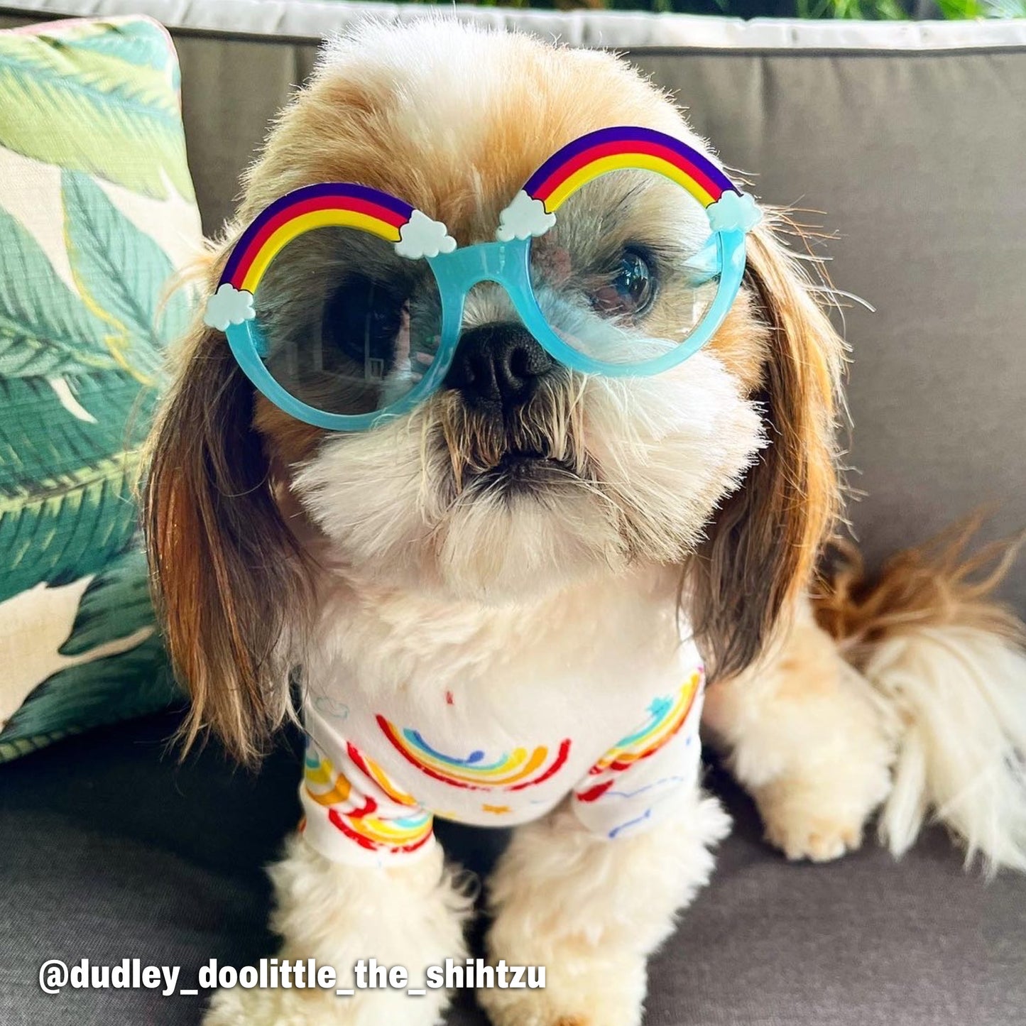 Chasing Rainbows Shades | Six Colour-ways