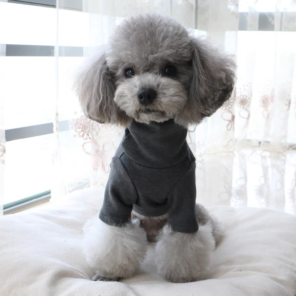 Peru Pima Cotton High-neck Turtleneck Top | Five colour-ways