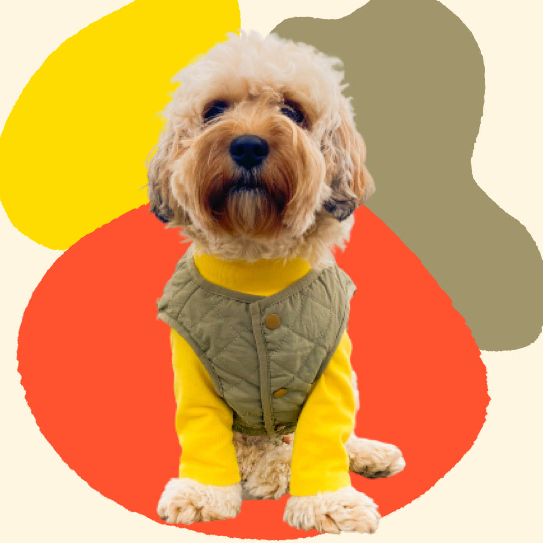 Lite Puffer Vest | Three Colours Options