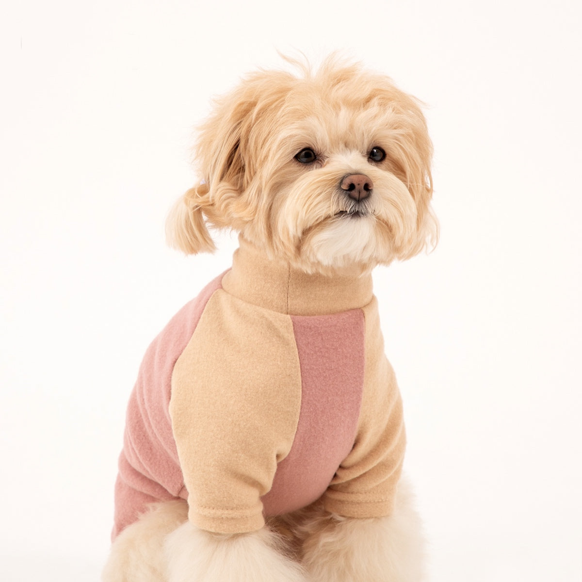 G’Day Turtleneck Shirt | Beige/Pink