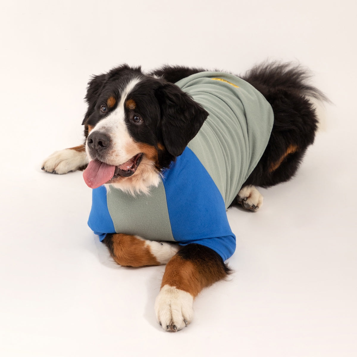 G’Day Turtleneck Shirt | Blue/Green
