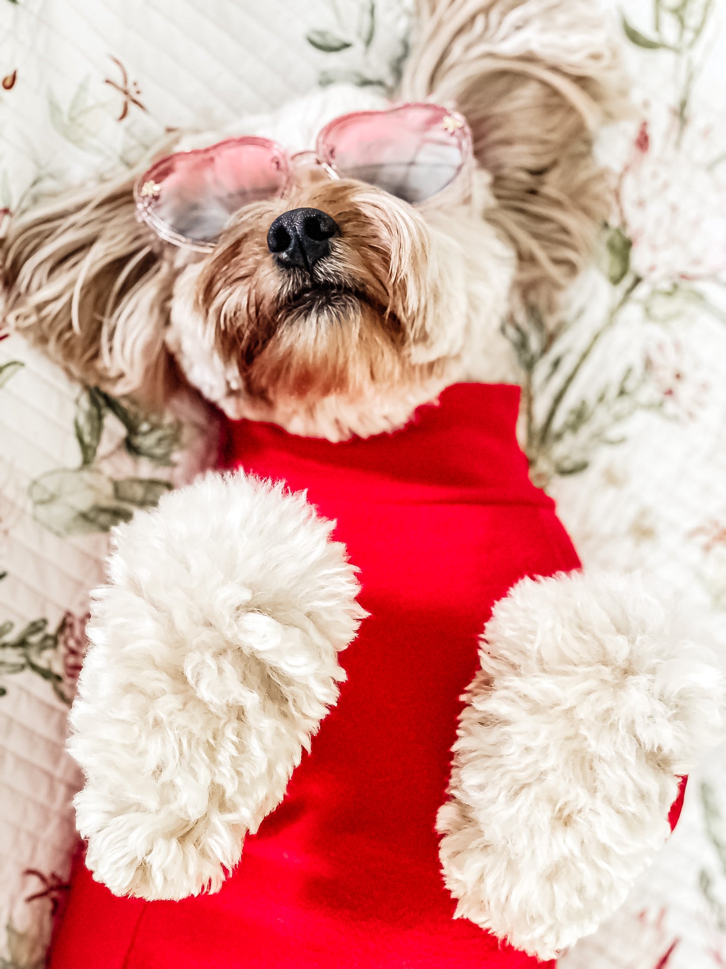 Sweetheart Shades | Four options | Pet Fashion Sunglasses