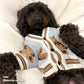 Teddy Bears Cardigan | Two Colour-ways