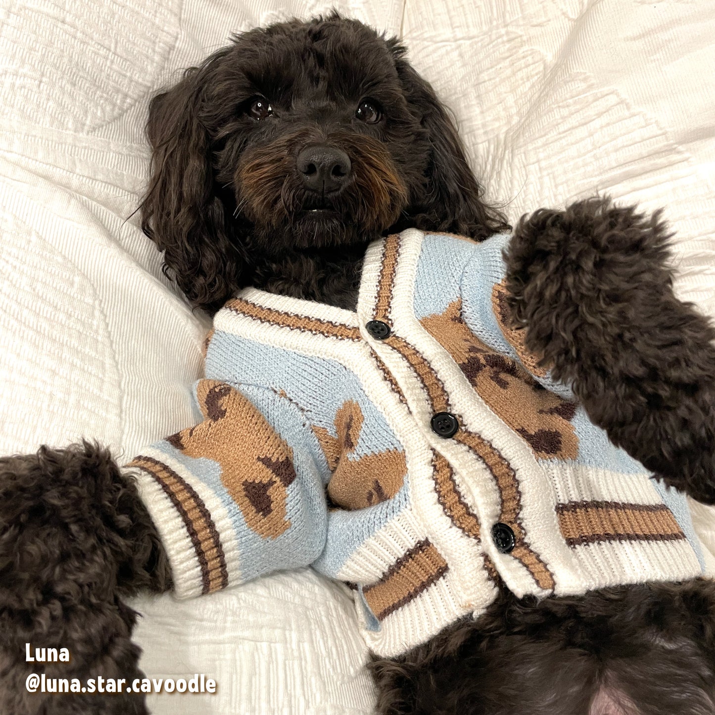 Teddy Bears Cardigan | Two Colour-ways