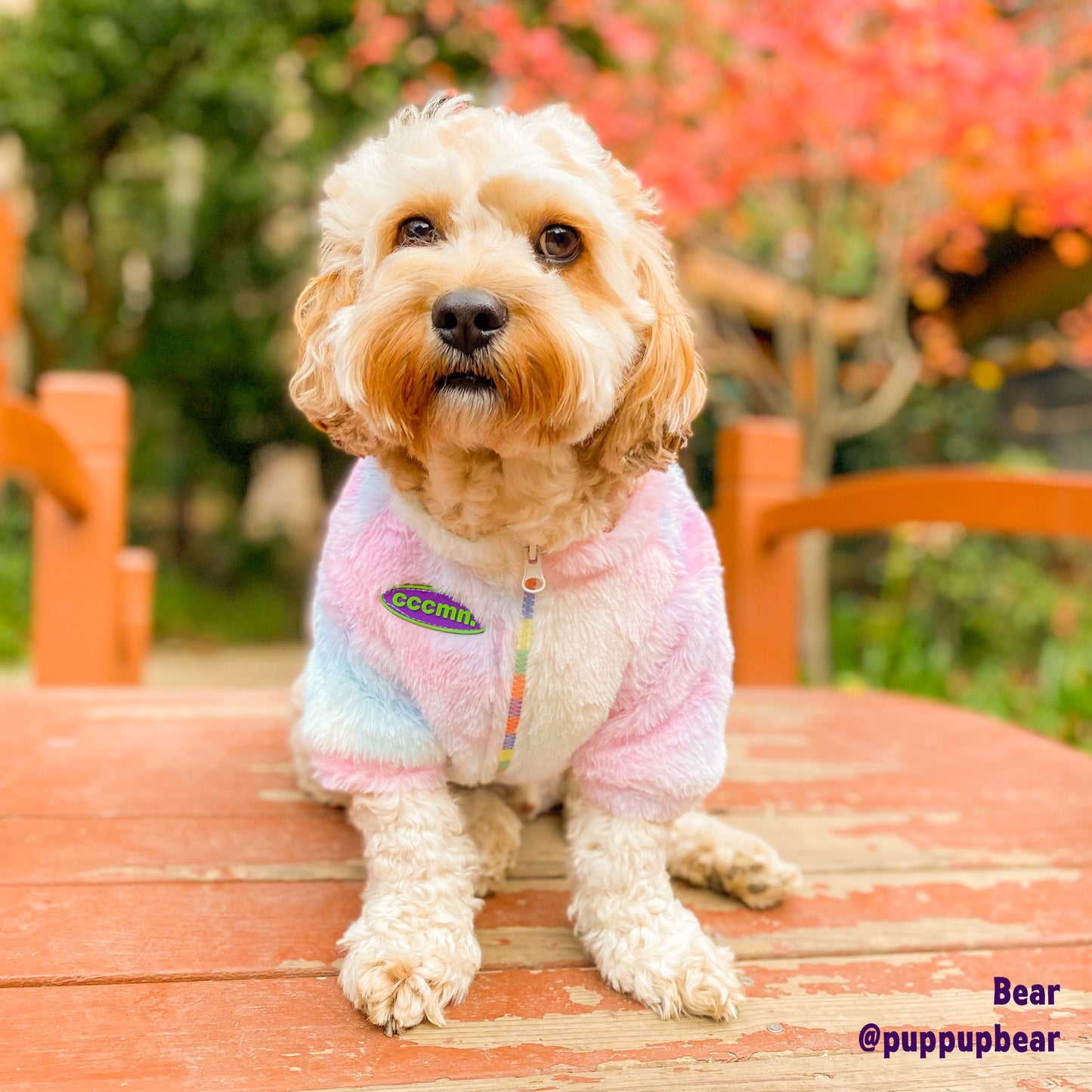 Fluffy Rainbow Jacket