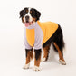 G’Day Turtleneck Shirt | Lilac/Orange