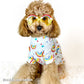 Rainbow Sky Tee | Small & Big Dogs